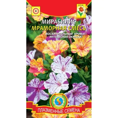 Купить семена: Мирабилис Мраморная смесь - цены,фото,отзывы |  Green-Club.com.ua