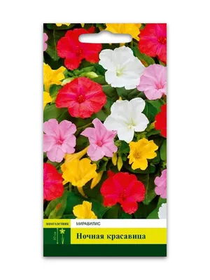Семена Мирабилис Ночная Красавица 1,0г, XS — купить в городе Новосибирск,  цена, фото — ООО «ГалаОпт»