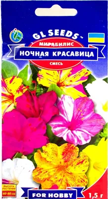 Мирабилис Орешка Цветы - купить по выгодным ценам в интернет-магазине OZON  (488655445)