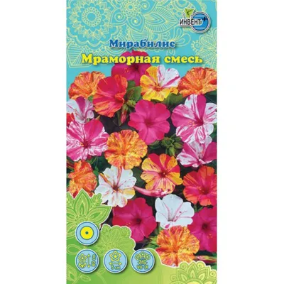 Семена Мирабилис Ночная красавица 1,5 г, GL SEEDS (ID#1350115454), цена: 7  ₴, купить на Prom.ua