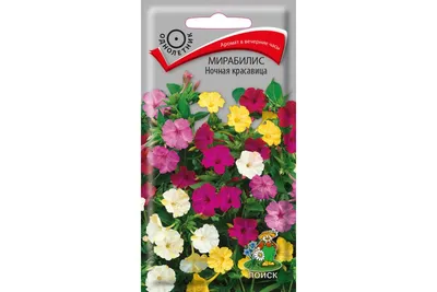Мирабилис ялапа Красный - купить семена цветов с доставкой по Украине в  магазине Добродар