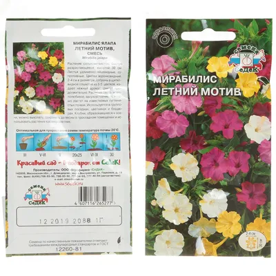 Семена цветов Мирабилис двухцветная смесь. ЕВРО-СЕМЕНА Ц/П 0.5 г — купить  по выгодной цене в интернет-магазине Колорлон