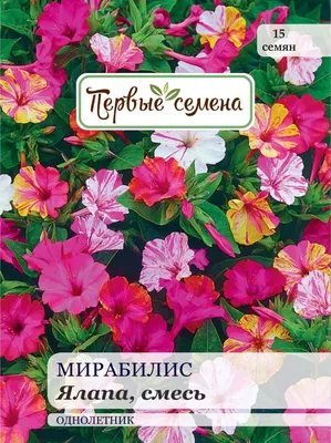 Мирабилис Радуга купить семена цветов | Питомник ВАСХНиЛ