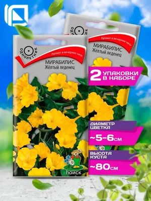 Купить семена: Мирабилис Ночная Бабочка - цены,фото,отзывы |  Green-Club.com.ua