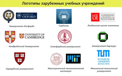 Делимся опытом агентства Мухина Дизайн сколько лет может прожить дизайн  логотипа