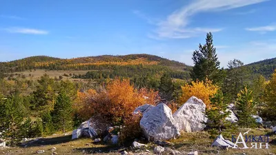 Лазурный берег на Оке. | RussoTourist | Дзен