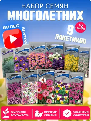 Многолетние цветы, которые будут цвести все лето 🌷 | Блог METRO