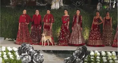 В рамках Ташкентской недели моды 22 ноября пройдёт показ авторской  коллекции знаменитого брендового дизайнера Индии Риту Бери Новости -  Ассоциация дизайнеров Узбекистана OSIYO RAMZI