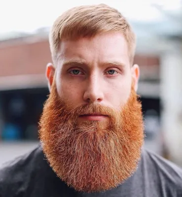 Брутальный мужчина с бородой | Beard styles, Beard, Bearded men