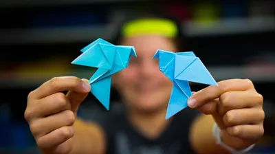 Модульное оригами вазы: пошаговая схема сборки с инструкцией для  начинающих, описание техники складывания вазы из бумаги, 115 фото