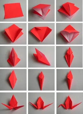 Оригами птица: схемы для начинающих, минимальный набор для оригами.  Создание бумажного лебедя, голубя, птицы счастья из бумаги, японского  журавлика