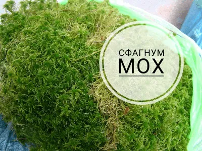 Мох сфагнум в мешке, 15 кг