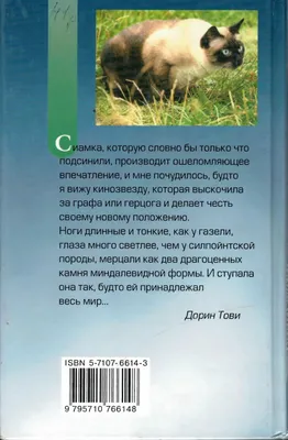 Шампунь для собак и кошек Globalvet Chlorohexidine, 250 мл - Интернет  зоомагазин MyPet-Online.ru