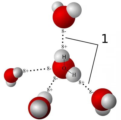 Молекула Воды H2O. Векторная Иллюстрация Клипарты, SVG, векторы, и Набор  Иллюстраций Без Оплаты Отчислений. Image 96807564
