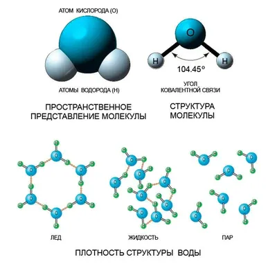 Molecule Water Euclidean Компьютерный файл, молекула воды, сфера, химия,  сюжет png | PNGWing