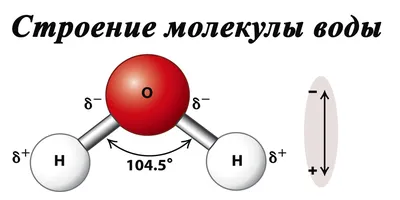 Молекула воды 3D Модель $29 - .fbx .max .obj - Free3D