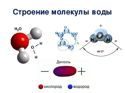 Water molecule (молекула воды) - Download Free 3D model by decay_dance  (@decay_dance) [27d7dd1]