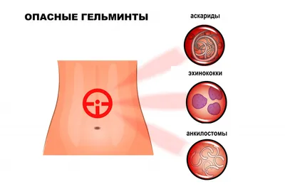 Незабываемая встреча или как мы обнаружили Чужого в теле рыбы | Пикабу