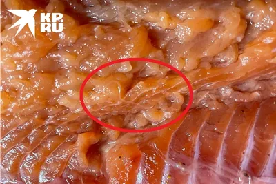 Внутри копошатся черви: кишащая паразитами рыба попала на стол к жителям  Хабаровска - KP.RU
