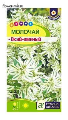 Купить Молочай Горный снег (г) 0,5гр от