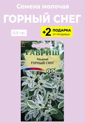 Молочай Окаймленный 0,5 гр. купить оптом в Томске по цене 20,2 руб.