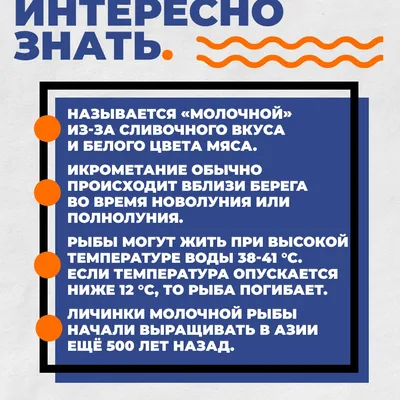 Мор рыбы в Молочном лимане: ущерб оценивают в 65 миллионов гривен - Новости  на KP.UA