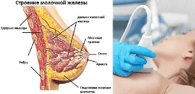 Неделя борьбы с раком молочной железы | ГБУЗ ПККБ1