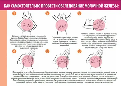 https://www.imaios.com/ru/e-anatomy/grudnaya-kletka/grud-molochnye-zhelezy