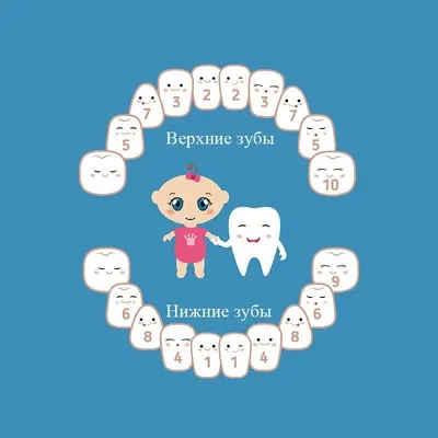 Молочные зубы у… взрослого! Стоматологический казус: что делать?