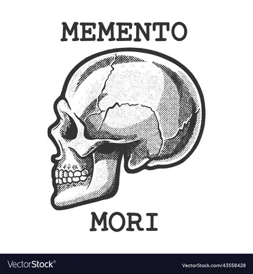 What is Memento Mori? - Artsper Magazine