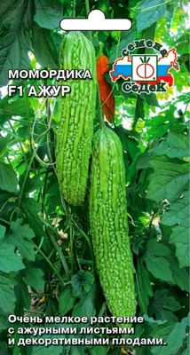 Момордика Семена СеДек Тыквенные - купить по выгодным ценам в  интернет-магазине OZON (1152377561)