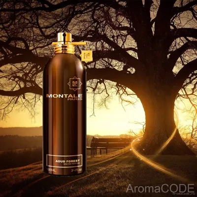 Montale Aoud Forest (Монталь, Монтале) парфюм в Москве купить духи по цене  интернет-магазина АромаКод