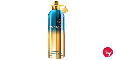 Montale Aoud Forest - Парфюмированная вода: купить по лучшей цене в Украине  | Makeup.ua