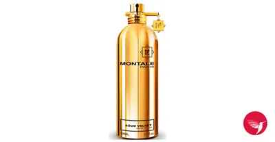 Духи Montale Aoud forest Монталь удовый лес PARFUM OSMANSKIY 61343451  купить за 411 ₽ в интернет-магазине Wildberries