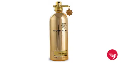 Купить духи Montale Wood On Fire — женская парфюмерная вода и парфюм Монталь  Вуд Он Фаер — цена и описание аромата Лес в Огне в интернет-магазине  SpellSmell.ru