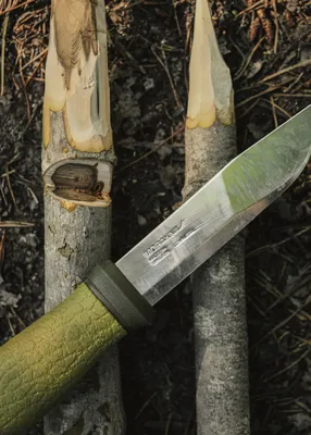 Mora 2000 Review • A Hidden Gem in the Morakniv Lineup!