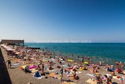 Обзор пляжей в Адлере в 2024 году с фото и где лучше остановиться