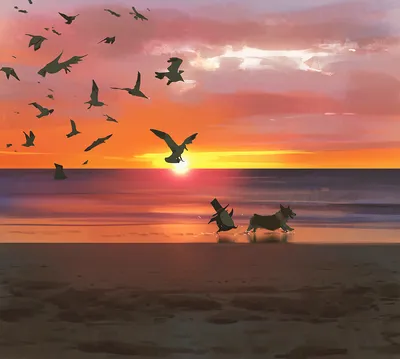 море чайки пляжа стоковое фото. изображение насчитывающей крыла - 92556