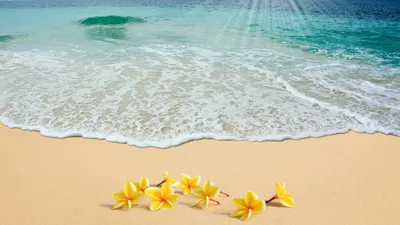 Отдых на острове Маргарита: мини-гайд по лучшим пляжам и отелям |  Ассоциация Туроператоров
