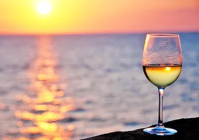 Вино Море Пикник | Вино, Пикник, Эстетика