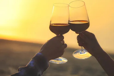 Вино Chateau De Talu Море волнуется два красное сухое 13.5%, 750мл - купить  с доставкой в Самаре в Перекрёстке