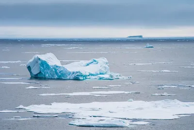 Coast of East Siberian Sea and Laptev Sea