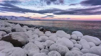 Море Лаптевых впервые не замерзло в октябре. Это случилось из-за  глобального потепления? Замерзнет ли оно вообще? И отразится ли это на  погоде? — Meduza
