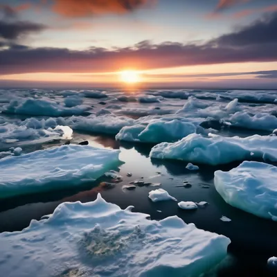 Море Лаптевых удивляет учёных отсутствием льда