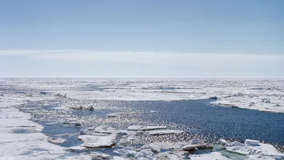 Крупнейший в мире российский парусник вошел в самое ледовитое море Лаптевых  | ИА Красная Весна