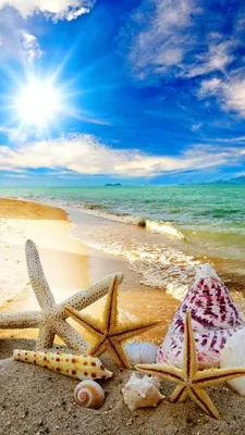 Оман пляжный отдых - Блог Травелаты