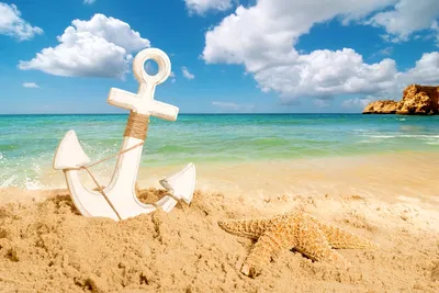 Фотографии Морские звезды пляжа Море Лето Природа песке 2560x1440