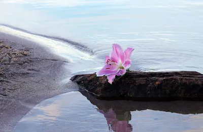 Водоворот в море, природа, книжная …» — создано в Шедевруме