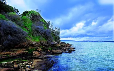 Обои фото Море Природа Пейзаж 368x254 см 3д Бунгало у океана и пальмы на  пляже (891P8)+клей (ID#743997116), цена: 1200 ₴, купить на Prom.ua