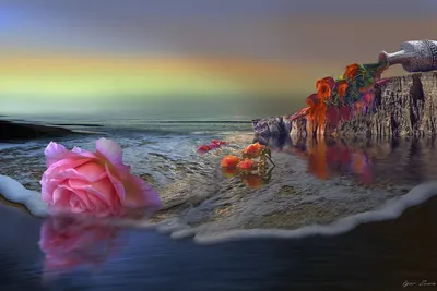 Море роз (74 фото) »